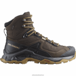 أحذية المشي الجلدية للرجال - Quest element gore-tex Salomon delicioso / أسود / ذهبي باهت B8DLV49