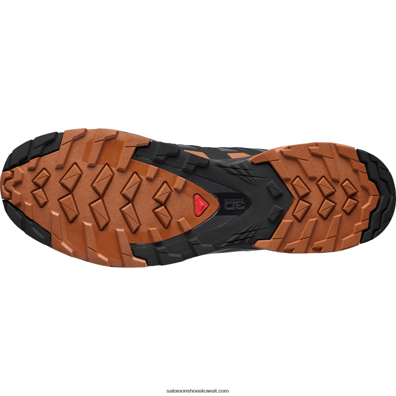 ⁦حذاء الجري Trail الرجالي - XA Pro 3D v8 gore-tex wide Salomon أبنوس / كراميل كافيه / أسود B8DLV1472⁩ - الصورة ⁦2⁩
