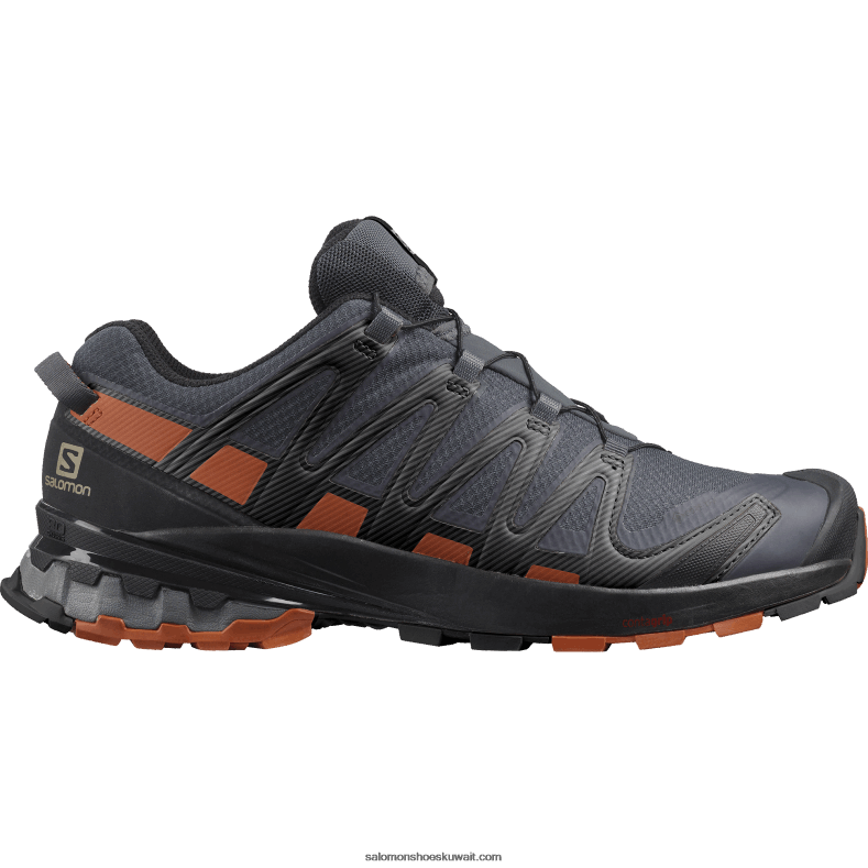 ⁦حذاء الجري Trail للرجال - XA Pro 3D V8 Gore-tex Salomon أبنوس / كراميل كافيه / أسود B8DLV1481⁩ - الصورة ⁦1⁩
