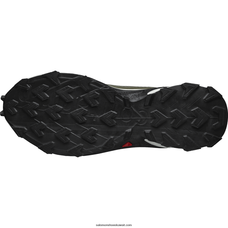 ⁦حذاء جري للرجال - alphacross 4 gore-tex Salomon حزاز أخضر عميق / جليد فانيليا / ليل زيتون B8DLV1476⁩ - الصورة ⁦2⁩