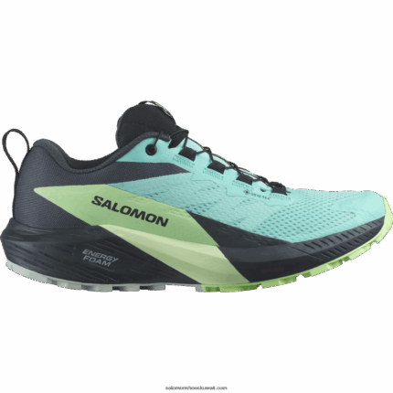 حذاء جري للسيدات - Sense Ride 5 gore-tex Salomon إشعاع أزرق / رماد أخضر / حبر الهند B8DLV1528
