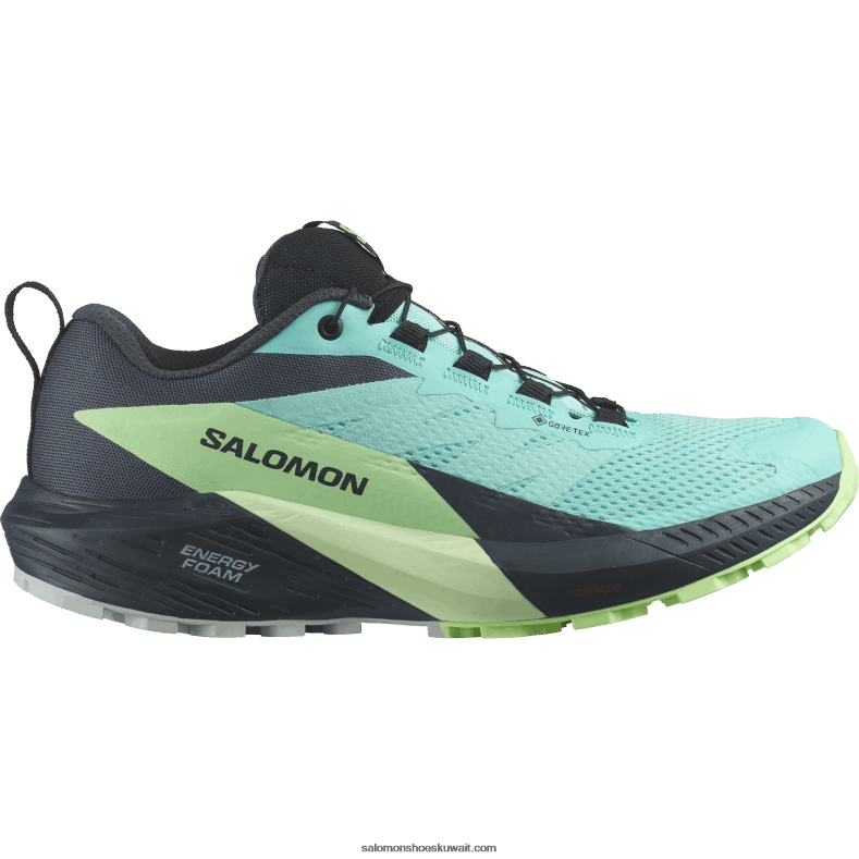 ⁦حذاء جري للسيدات - Sense Ride 5 gore-tex Salomon إشعاع أزرق / رماد أخضر / حبر الهند B8DLV1528⁩ - الصورة ⁦1⁩