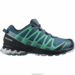حذاء جري للسيدات - XA Pro 3D v8 gore-tex Salomon الفيلق الأزرق / جندي / أوراق النعناع B8DLV1539